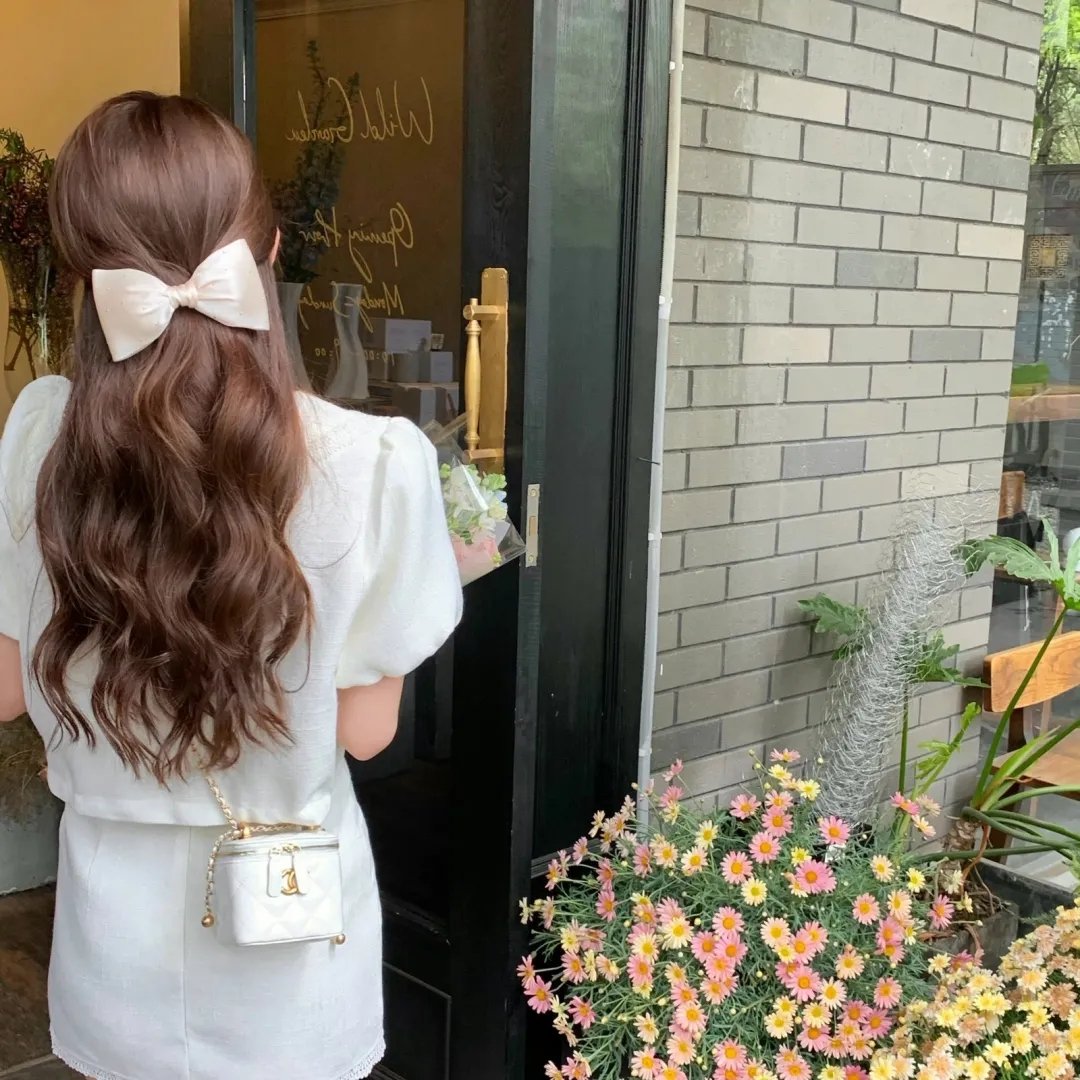 阿妮塔与加里波第